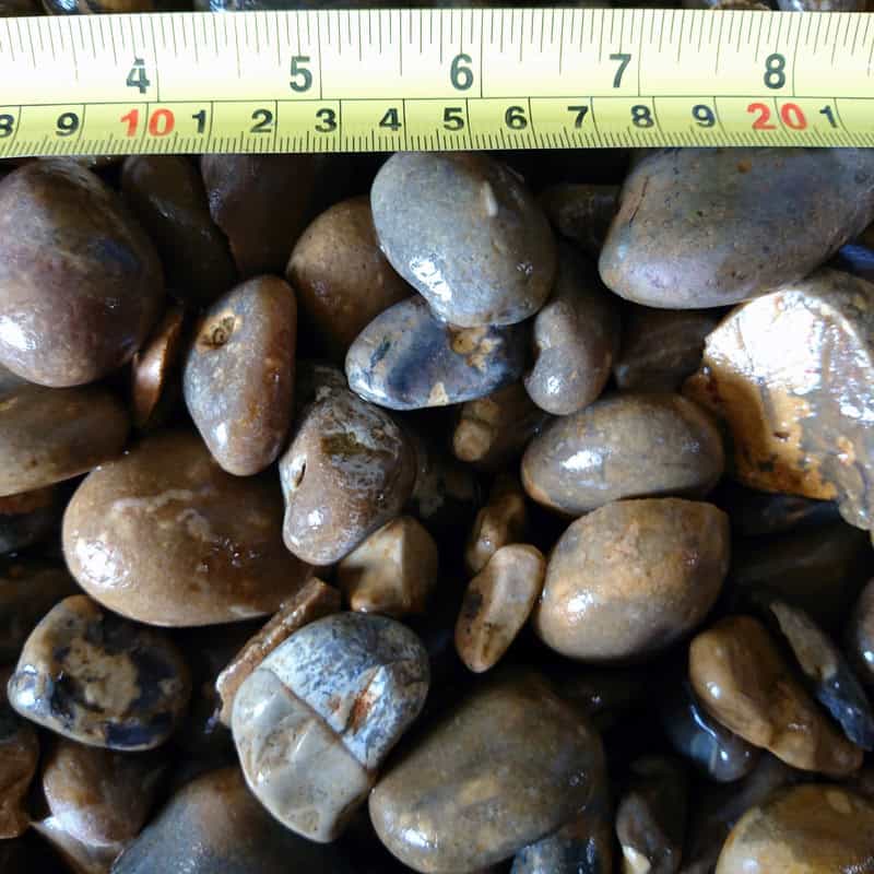 A selection of Natural Rounded 40mm Golden Pebbles - Loose, in brown and gray hues, is arranged beneath a measuring tape indicating a length of about 21 centimeters.