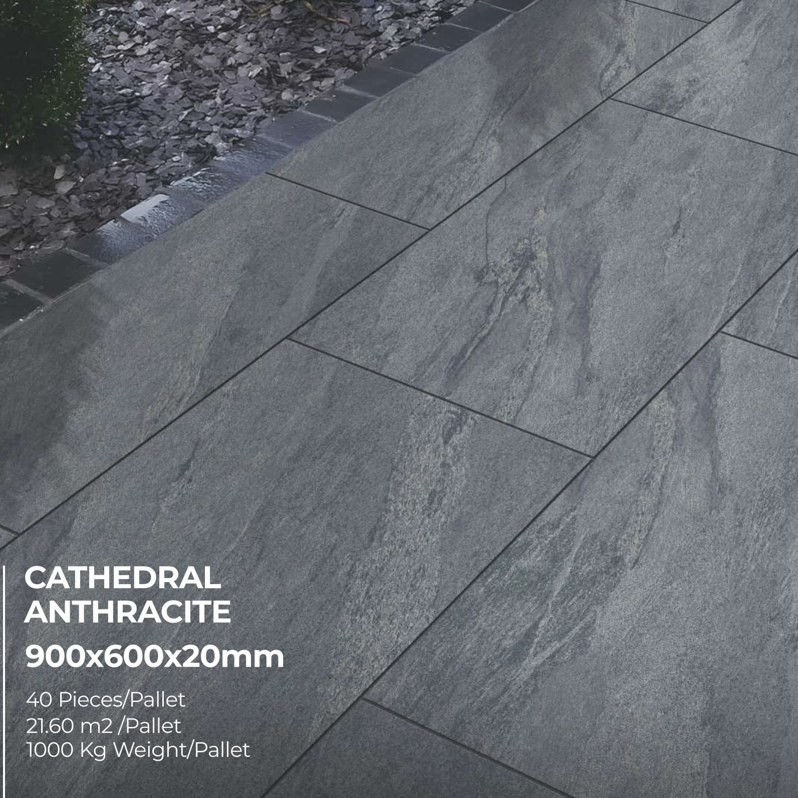 Premier Cathedral Anthracite 21.6m² Porcelain Pack—gray rectangular tiles with marble vein effect for a natural paving look. Outdoor display with soil and plants. 900x600x20mm, 40 pcs/pallet, covers 21.60m², weighs 1000kg/pallet.